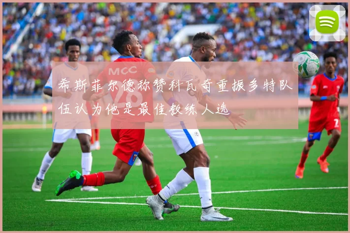 希斯菲尔德称赞科瓦奇重振多特队伍认为他是最佳教练人选