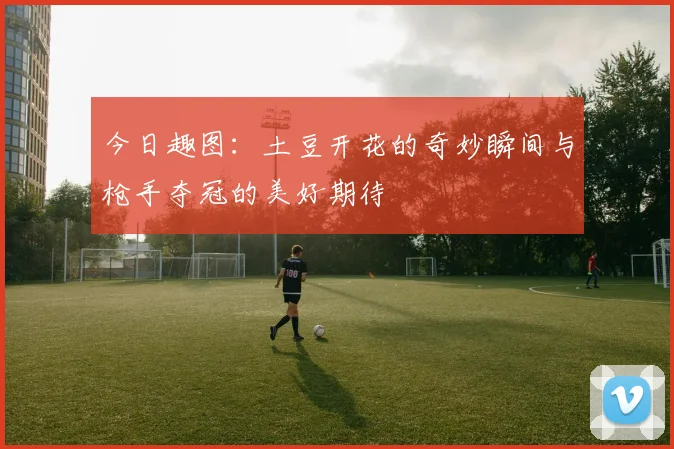 今日趣图：土豆开花的奇妙瞬间与枪手夺冠的美好期待