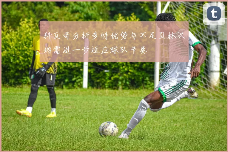科瓦奇分析多特优势与不足贝林汉姆需进一步适应球队节奏