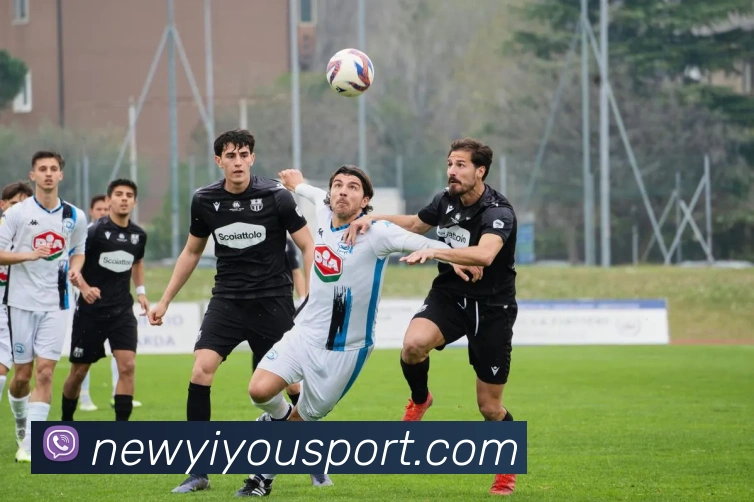 易游体育服务体系